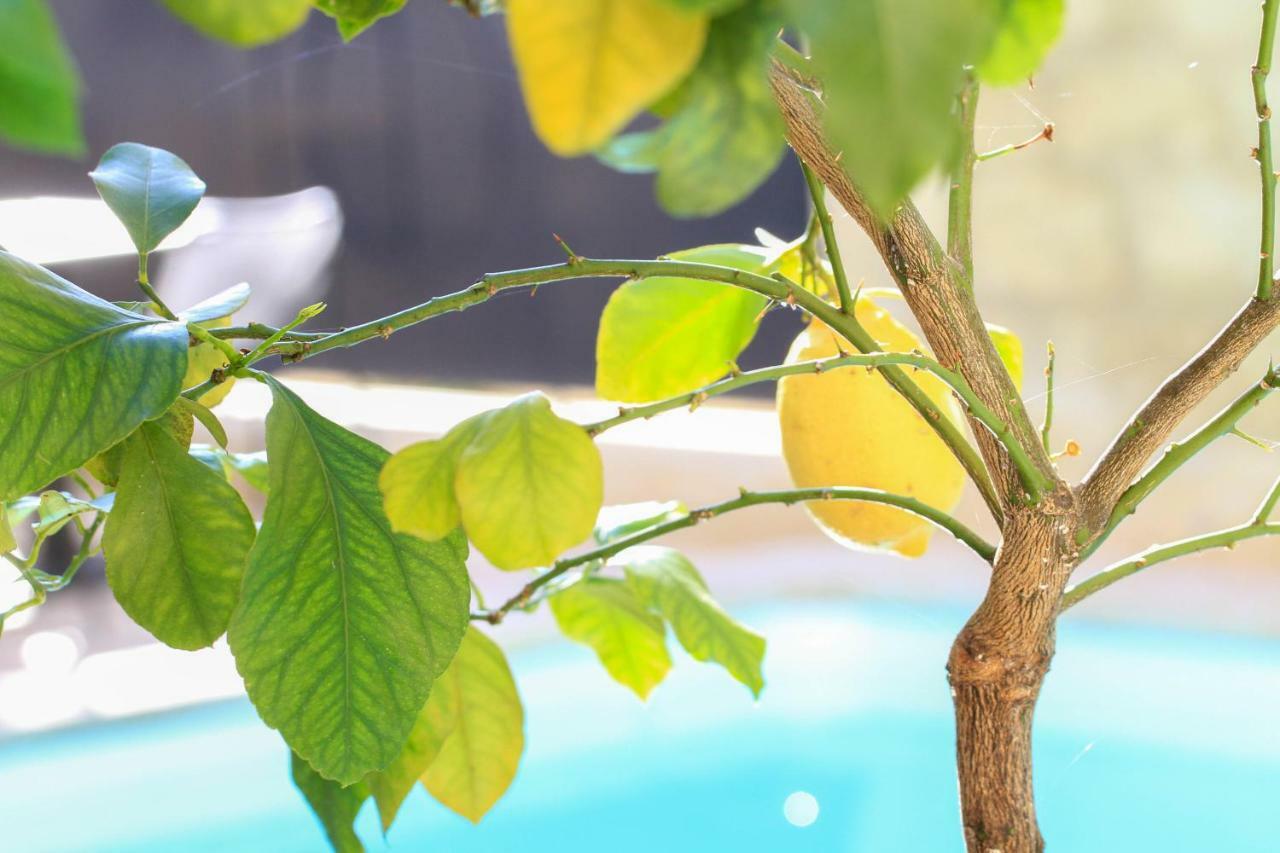 L'Hotel Particulier Guilhon Lectoure Εξωτερικό φωτογραφία